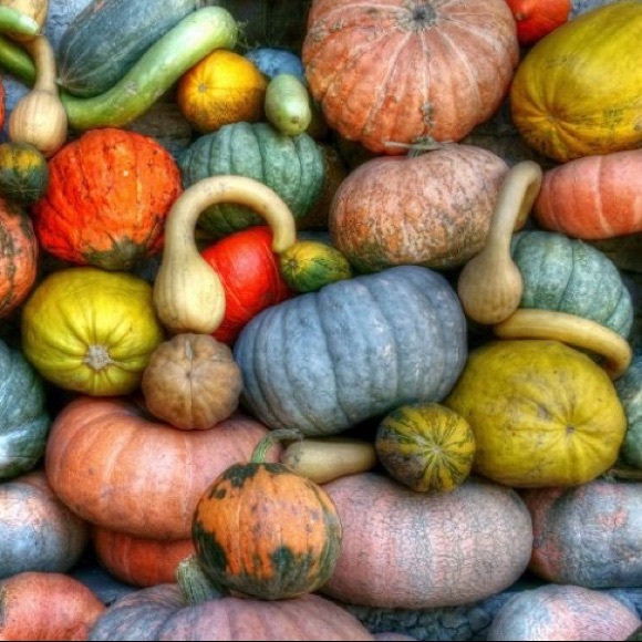 🎯 LISTING FULL 🎯 LISTING FULL 🎯 LISTING FULL🎯 - Picture 4 of 8